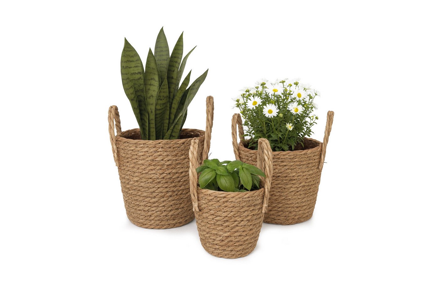 relaxdays Blumentopf Runder Blumentopf im 3er Set von relaxdays