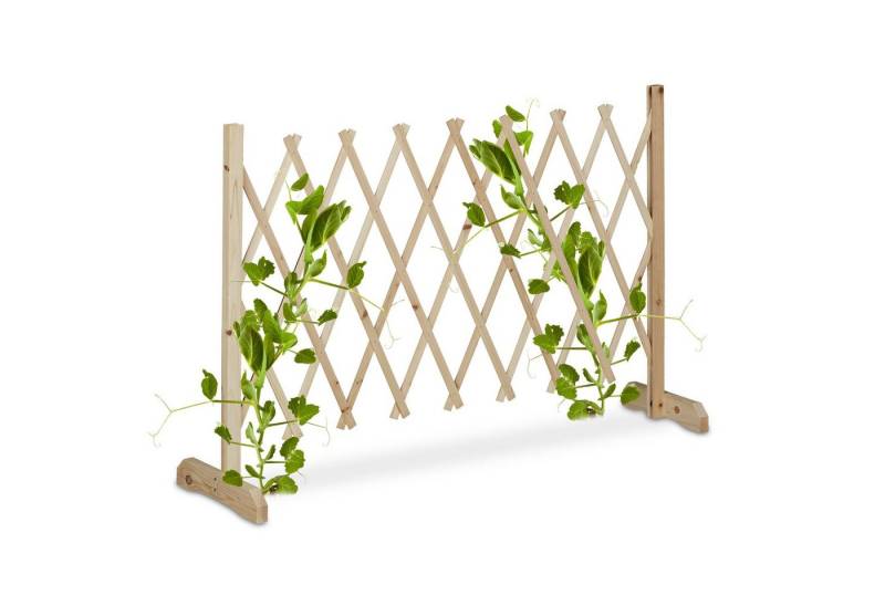 relaxdays Rankgitter Ausziehbares Rankgitter aus Holz relaxdays Rankgitter Ausziehbares Rankgitter aus Holz von relaxdays