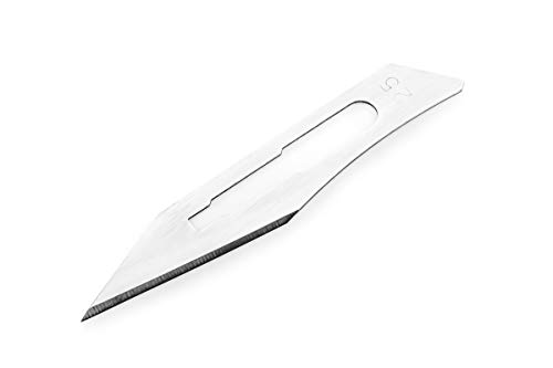 REMOS Skalpellklinge Nr. 25-10 Stück steril verpackt für Skalpellhalter Nr. 4 REMOS Skalpellklinge Nr. 25-10 Stück steril verpackt für Skalpellhalter Nr. 4 von remos professional body care