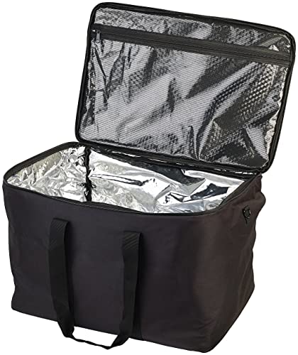 revolt Schutztasche: Gepolsterte Schutz- & Tragetasche für Powerstations, 49,9 x 35 x 34 cm (Umhängetasche Powerstation, Schutztasche, Akku Ladegerät) von revolt