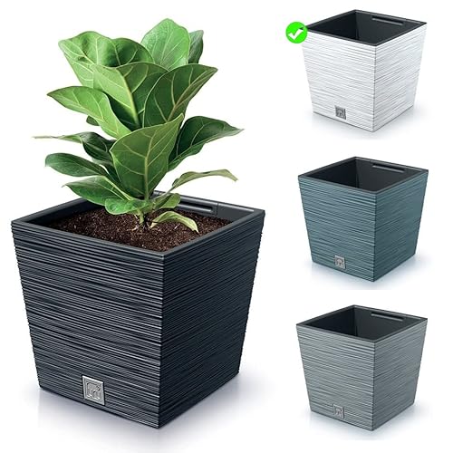 rg-vertrieb Blumenkasten Blumenkübel Blumentopf Pflanzkübel Quadrat Furu Low Tannennadeln Design mit Einsatz Struktur (300 Weiß) von rg-vertrieb