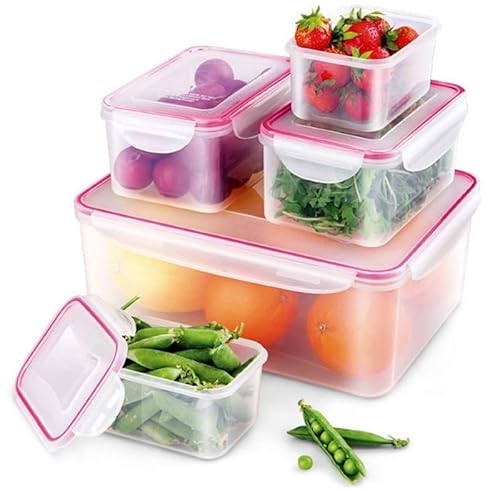 rg-vertrieb Frischhaltedosen Vorratsdosen Lebensmittelbehälter mit Clip-Deckel Gefrierdosen Aufbewahrungsboxen (2,4L - 1 Stück) von rg-vertrieb