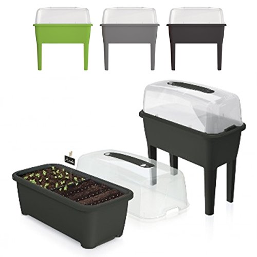 Hochbeet Anzuchttopf Blumentopf Frühbeet Gewächshaus Blumenkasten 3 Farben von rg-vertrieb (Anthrazit) von rg-vertrieb