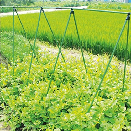 SATOHA Rankhilfe Gartenständer Stellage Rankgerüst Ranknetz Stütznetz für Kletterpflanzen, Stahlrohr mit PE Kunststoff Ummantelung, Grün, Quadratisch, 1,5m Ø 16mm von SATOHA