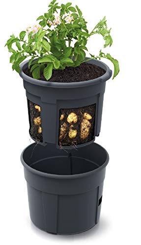 rgvertrieb Blumentopf Kartoffel-Pflanztopf Potato Topf 28L Kartoffel-Anzuchttopf Gemüse Kartoffeln Pflanzkübel Pflanztopf Höhe 31,5cm (⌀ 400) von rgvertrieb