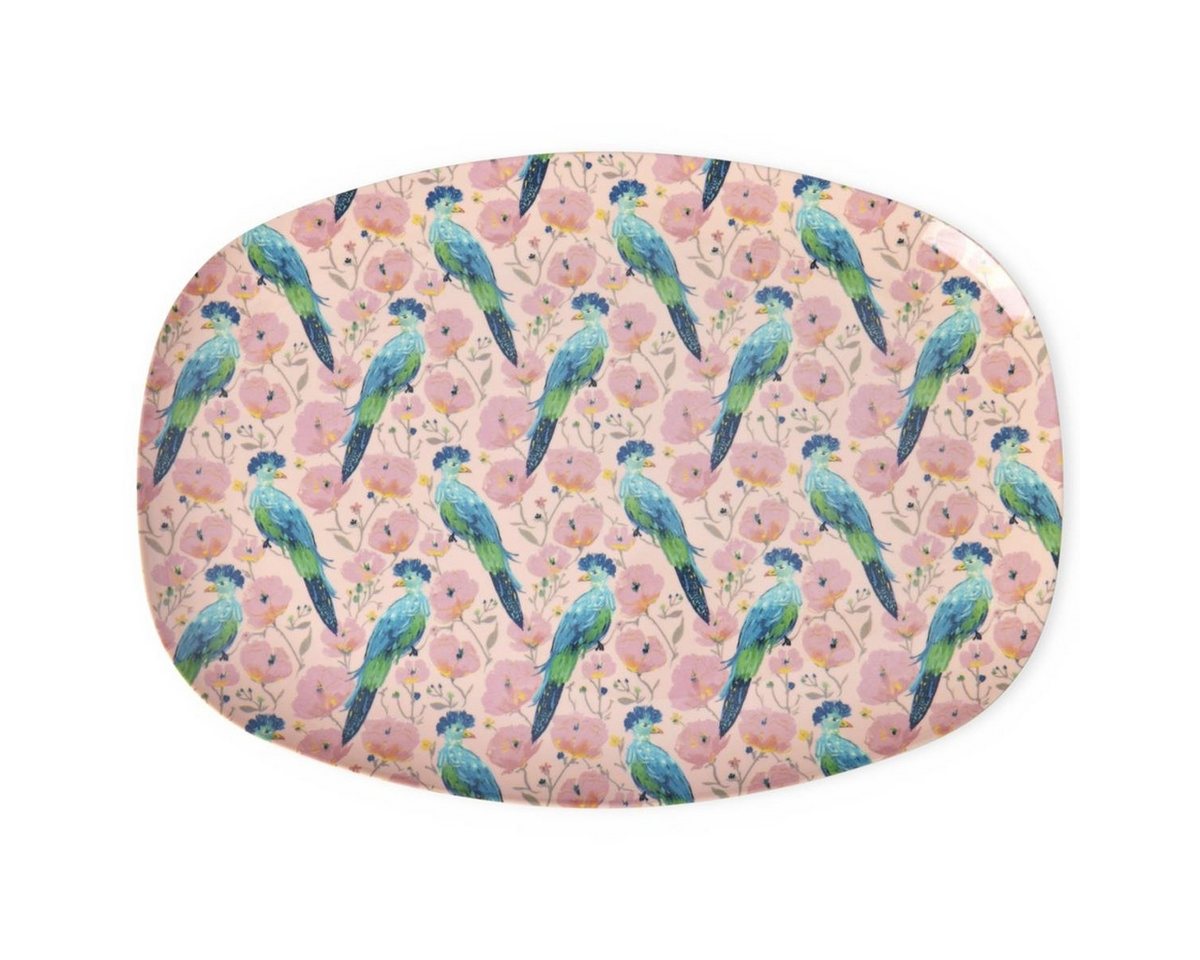 rice Teller Melamin Teller oval 30x22cm Snackteller Käseplatte von rice