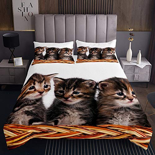 richhome Baby schöne Katze Tagesdecke 220x240cm Süße Katze Steppdecke für Kinder Jungen Mädchen DREI Katze Weichste Bettwäsche Set Tagesdecke Bettbezug 3St von richhome