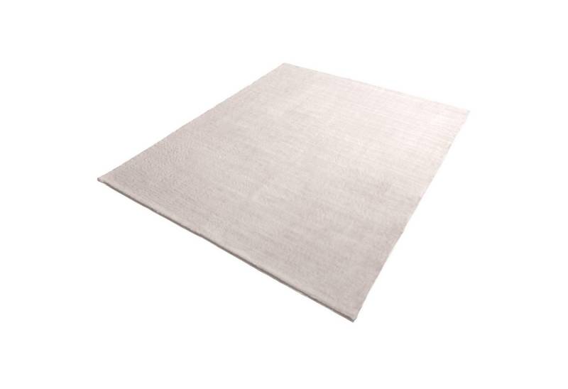 riess-ambiente Hochflor-Teppich COZY CLOUD 230x160cm creme · Indoor-Teppich in kuscheliger Felloptik, rechteckig, Höhe: 30 mm, Uni-Farben · weich · Scandinavian Design · Fußbodenheizung geeignet riess-ambiente Hochflor-Teppich COZY CLOUD 230x160cm creme · Indoor-Teppich in kuscheliger Felloptik, rechteckig, Höhe: 30 mm, Uni-Farben · weich · Scandinavian Design · Fußbodenheizung geeignet von riess-ambiente