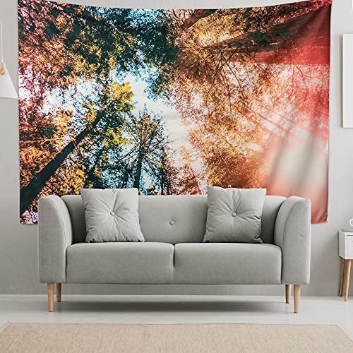 riijk Wandteppich Wald extra groß 250x180cm. Motiv „Wald Himmelblick“. Auch als Picknickdecke. Großes Wandtuch für tolle Raum-Atmosphäre von riijk