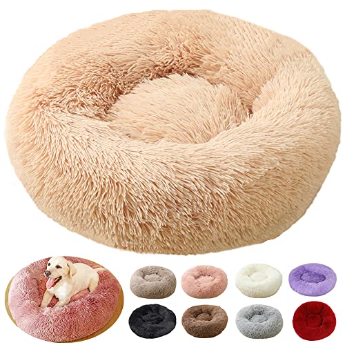 Hundebett XXL, Hundekissen XXL, große Größe, Hundebett XXL, Puppy Love Anti-Stress-Korb Orthopädisch, Mittel (80 cm, Aprikose) von rngcpto