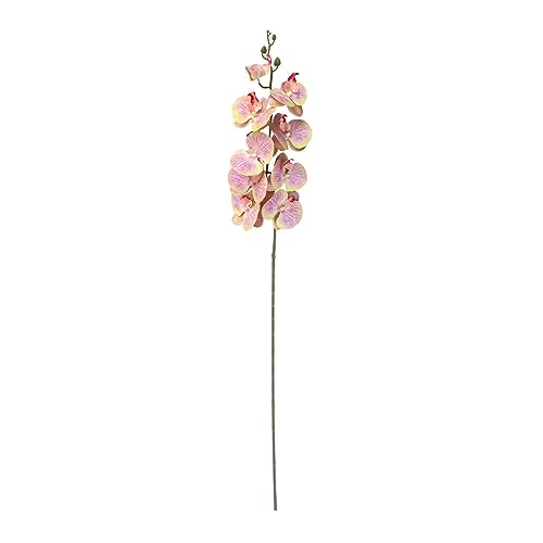 rockible -Blume, künstliche Pflanze, Tischdekoration, Stielblumen, künstliche Orchidee für Abschlussfeier, Innenvase, Kunstgeschäft, Rosa Gelb von rockible