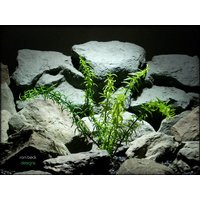 Künstliche Reptil Terrarium Pflanze Rosmarin Strauch Von Ron Beck Designs. Prp226 von ronbeckdesigns