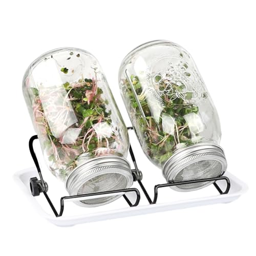 rongweiwang 2er Pack Keimwerkzeug Set, Keimglas mit Halterung, Filter, weiß, breite Öffnung für einfachen Zugriff, für Zuhause von rongweiwang