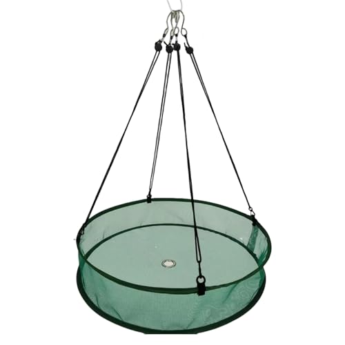 rongweiwang Hängendes Hoop Tablett für Kolibri Futterspender, Vogelfutterspender Zubehör, Vogelfänger für Futterspender im Freien, Vogelfänger Tablett, grüner, Sutra 50.8, 50.8 cm – 10 cm (1 Satz) rongweiwang Hängendes Hoop Tablett für Kolibri Futterspender, Vogelfutterspender Zubehör, Vogelfänger für Futterspender im Freien, Vogelfänger Tablett, grüner, Sutra 50.8, 50.8 cm – 10 cm (1 Satz) von rongweiwang