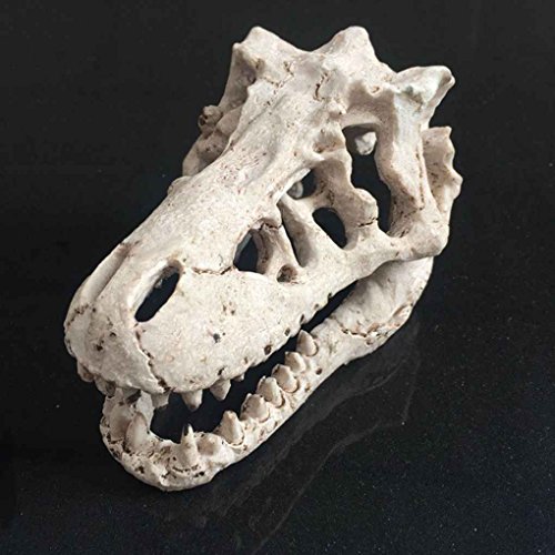 rongweiwang Harz Dinosaurier Schädel Aquarium Dekoration Terrarium Reptil Aquarium Ornament rongweiwang Harz Dinosaurier Schädel Aquarium Dekoration Terrarium Reptil Aquarium Ornament von rongweiwang