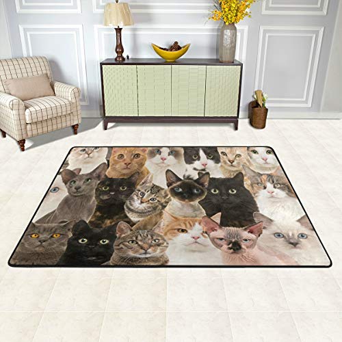 Rootti Teppich mit Katzenmotiv, rutschfest, Teppich für Wohnzimmer, Esszimmer, Schlafzimmer, Küche, Flur, Bodenmatte, Fußmatten, klein, 160 cm x 120 cm von rootti