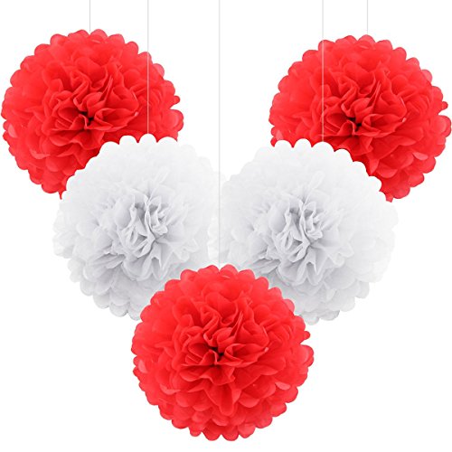 ROSENICE 5 Stück Pompom Deko Seidenpapier Blumen Hängedekoration Weiß Rot von rosenice