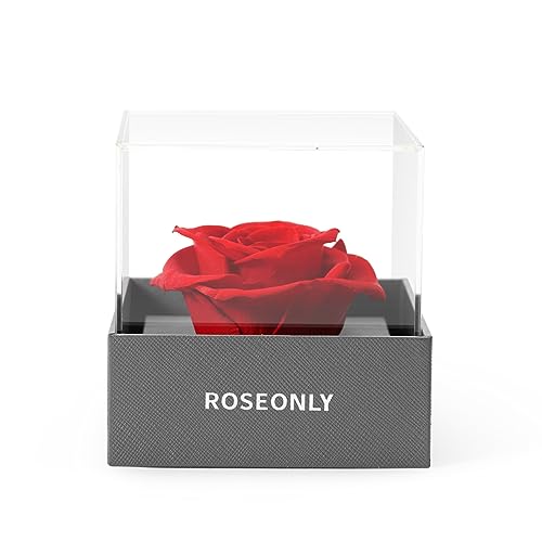 roseonly. Ewige Rose, Konservierte Rose, Echte Rosenbox, Geschenke für Frauen zum Geburtstag, Valentinstag, Weihnacht, Jubiläum, Muttertag, (Mini) von roseonly.