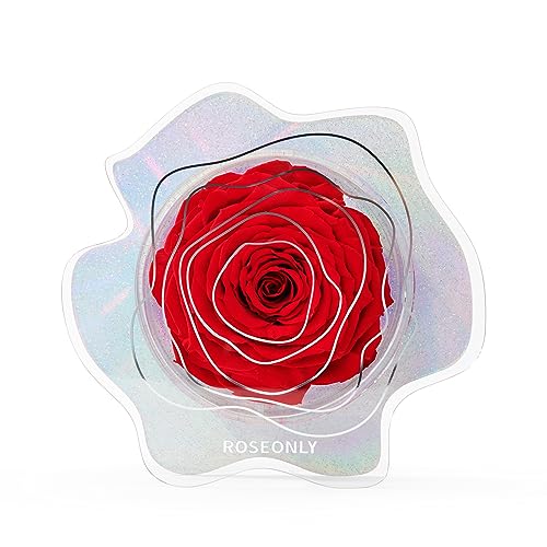 roseonly. Ewige Rose Nebel, Konservierte Rosen, Infinity Rote Rosette Nebel, Geschenke für Frauen zum Geburtstag, Valentinstag, Weihnacht, Muttertag, Jubiläum von roseonly.