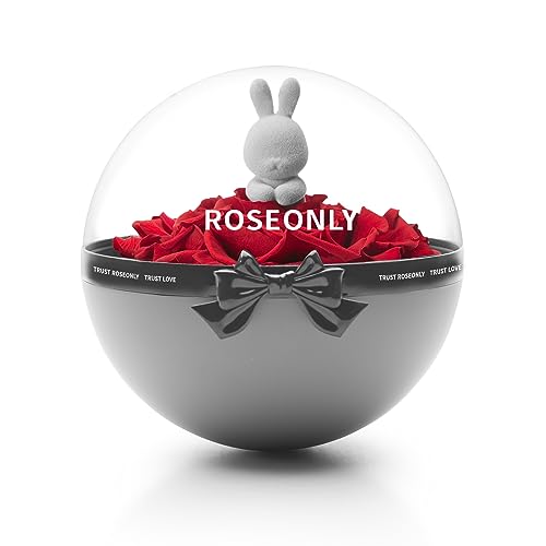 roseonly. Ewige Rose Stehauf, Konservierte Rosen Stehaufmännchen, Infinity Rote Rose Stehauffigur Süßen Hase, Geschenke für Frauen zum Geburtstag, Valentinstag, Weihnacht, Muttertag, Jubiläum von roseonly.