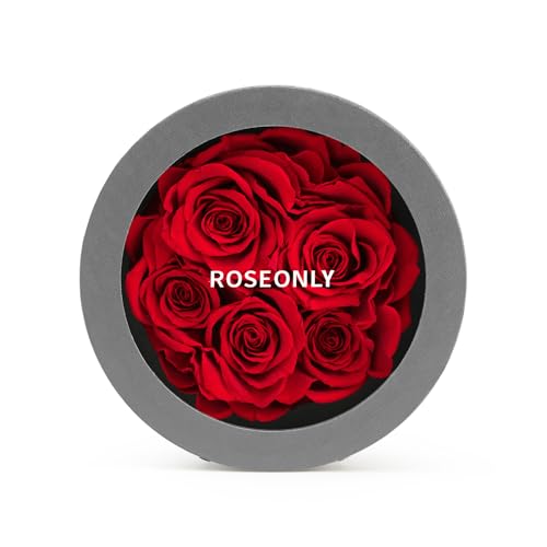 roseonly. Ewige Rose in runden Box, Echte Rosenbox, Konservierte Rosen, Infinity Rote Rose, Geschenke für Frauen, Freundin zum Geburtstag, Valentinstag, Weihnacht, Muttertag, Jubiläum von roseonly.