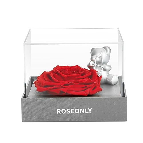 roseonly. Ewige Rose mit Amor, Konservierte Rosen, Infinity Rosenbox, Geschenke für Frauen zum Geburtstag, Valentinstag, Weihnacht, Hochzeitstag, Jubiläum von roseonly.