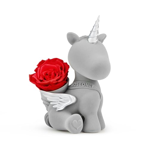 roseonly. Ewige Rose mit Einhorn, Konservierte Rosen, Infinity Rote Rose Einhorn Figur Geschenke für Frauen zum Geburtstag, Valentinstag, Weihnacht, Muttertag, Jubiläum von roseonly.