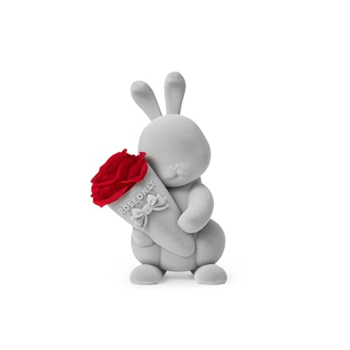 roseonly. Ewige Rose mit Süßen Hase, Konservierte Rosen, Infinity Rose Hase Figur Geschenke für Frauen zum Geburtstag, Valentinstag, Weihnacht, Muttertag, Jubiläum (Mini, Grau-Rot) von roseonly.