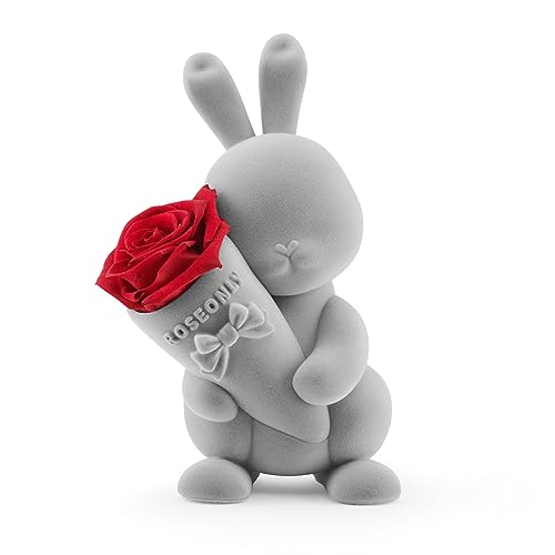 roseonly. Ewige Rose mit Süßen Hase, Konservierte Rosen, Infinity Rose Hase Figur Geschenke für Frauen zum Geburtstag, Valentinstag, Weihnacht, Muttertag, Jubiläum (Standard, Grau-Rot) von roseonly.