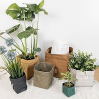 Blumentopf Aus Waschbarem Papier in Verschiedenen Farben Und Größen Rositura von rositura