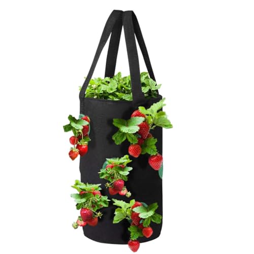 Erdbeere Pflanzsack, Pflanzen Tasche Grow Tasche Pflanzbeutel mit Griffe, Hängend Erdbeeren Pflanztaschen mit Löchern für Pflanzen/Kräuter/Blumen, 3 Gallon Pflanzgefäße Draussen (1PC_Schwarz) von routinfly