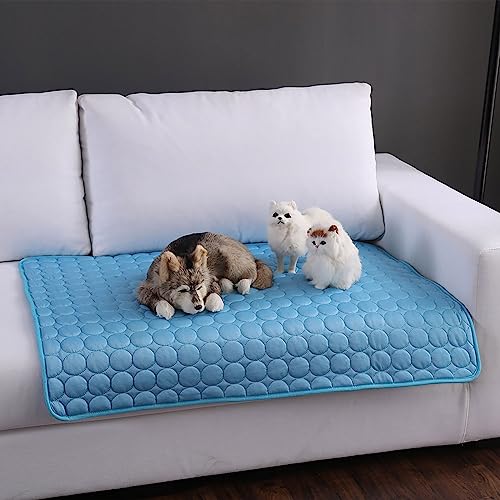 KüHlmatte FüR Hunde Haustiere HundeküHlmatte Pet Shop Haustier KüHlmatte Halten Sie Ihr Haustier KüHl Langlebig Sommer KüHlmatte Halten Sie KüHlung FüR Haustiere Pad FüR Zwinger (40*30cm, Blau) von routinfly