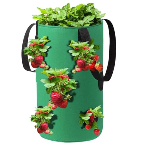 routinfly Erdbeere Pflanzsack, Pflanzen Tasche Grow Tasche Pflanzbeutel mit Griffe, Hängend Erdbeeren Pflanztaschen mit Löchern für Pflanzen/Kräuter/Blumen, 3 Gallon Pflanzgefäße Draussen (1PC_Grün) von routinfly
