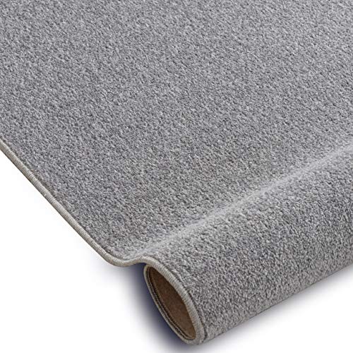 rugsx Einfarbiger Teppich Eton für Zimmer, Wohnzimmer, Schlafzimmer, Teppichboden Auslegware, Silber grau, Verschiedene Größen, 400x600 cm rugsx Einfarbiger Teppich Eton für Zimmer, Wohnzimmer, Schlafzimmer, Teppichboden Auslegware, Silber grau, Verschiedene Größen, 400x600 cm von rugsx
