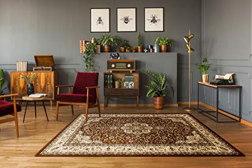 rugsx Teppich ROYAL AGY Klassisch, traditioneller, für das Zimmer, Wohnzimmer, Schlafzimmer, hohe Qualität braun 400x500 cm von rugsx