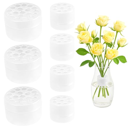 7 Stk Blumenstielhalter Blumenhalter für Ikebana Twister,Spirale DIY Blumenhalter Blumenarrangement Halter für Ikebana Vase,Spiral Blumenstrauß Stielhalter,Transparenter Spiralstielhalter für Blumen 7 Stk Blumenstielhalter Blumenhalter für Ikebana Twister,Spirale DIY Blumenhalter Blumenarrangement Halter für Ikebana Vase,Spiral Blumenstrauß Stielhalter,Transparenter Spiralstielhalter für Blumen von runxsam
