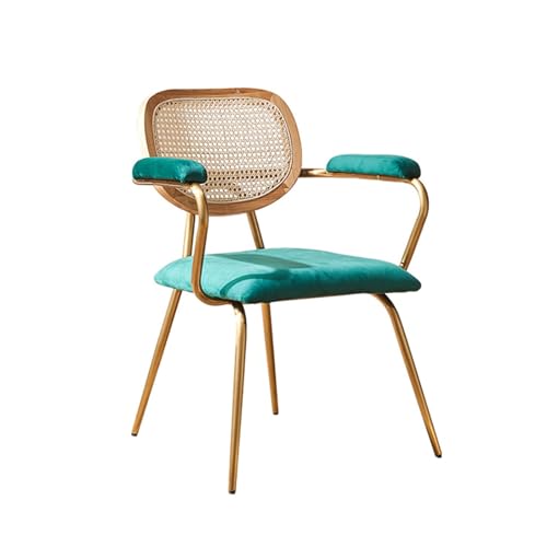 Rattanstuhl Moderner Esszimmerstuhl aus Rattan mit elegantem Metallrahmen und gepolstertem Sitz, leicht und tragbar, Rattansessel für Wohnzimmer, Schlafzimmer, Garten und Balkon Stuhl Vi von ruyi-1986