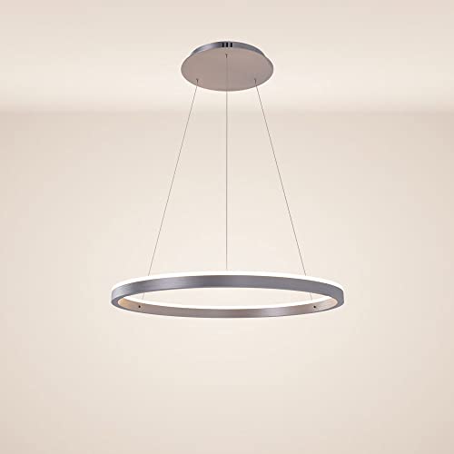 s.luce LED Ring Pendelleuchte rund Direkt oder Indirekt Hängelampe Wohnzimmerleuchte, Farbe:Aluminium, Größe:Ø 60cm s.luce LED Ring Pendelleuchte rund Direkt oder Indirekt Hängelampe Wohnzimmerleuchte, Farbe:Aluminium, Größe:Ø 60cm von s`luce