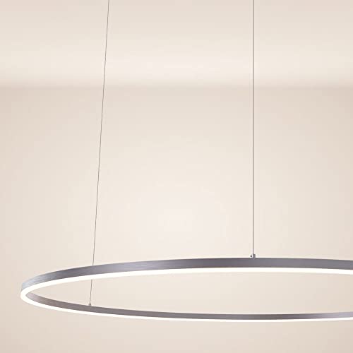s.luce LED Ring Pendelleuchte rund Direkt oder Indirekt Hängelampe Wohnzimmerleuchte, Farbe:Aluminium, Größe:Ø 150cm s.luce LED Ring Pendelleuchte rund Direkt oder Indirekt Hängelampe Wohnzimmerleuchte, Farbe:Aluminium, Größe:Ø 150cm von s`luce