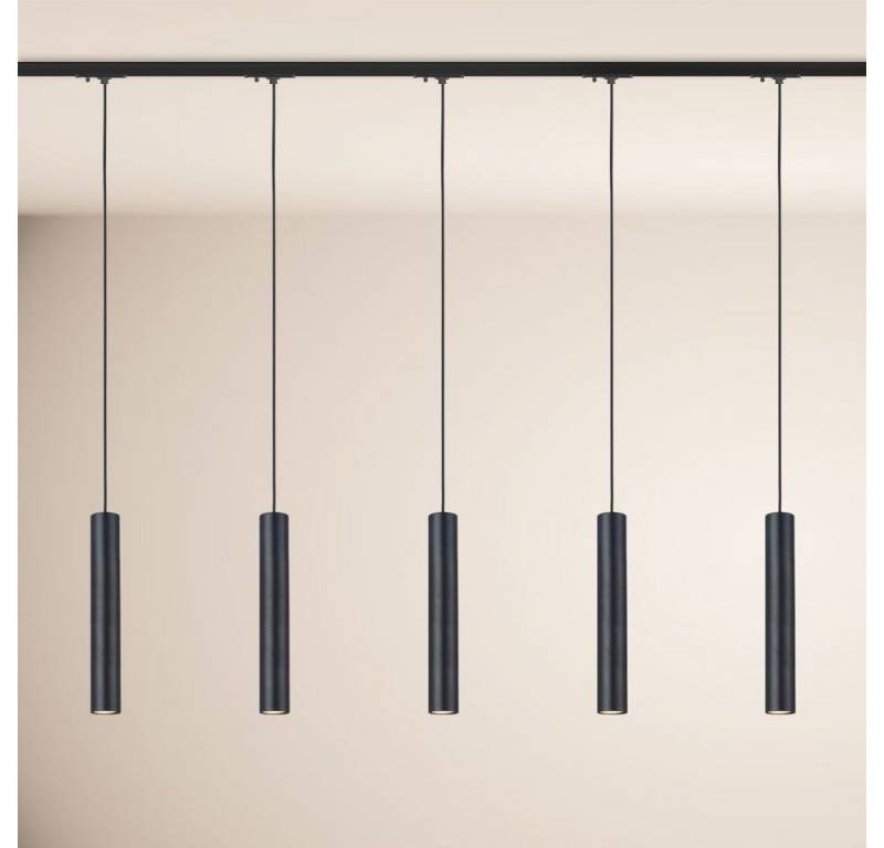 s.luce Pendelleuchte Hängelampe Crutch inkl. 1-Phasen-Schienensystem Endeinspeiser Schwarz von s.luce