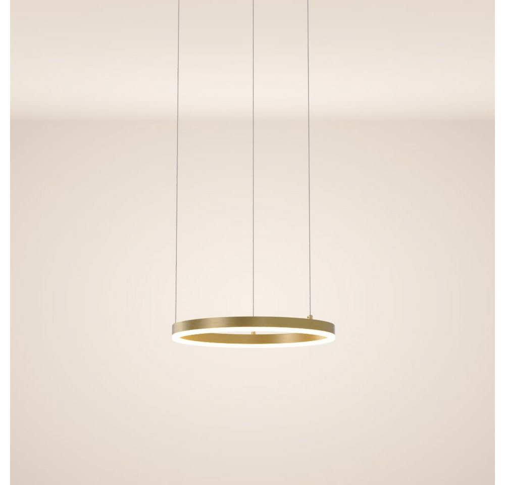 s.luce Pendelleuchte LED Hängelampe Ring 40 5m Abhängung Goldfarben, Warmweiß von s.luce