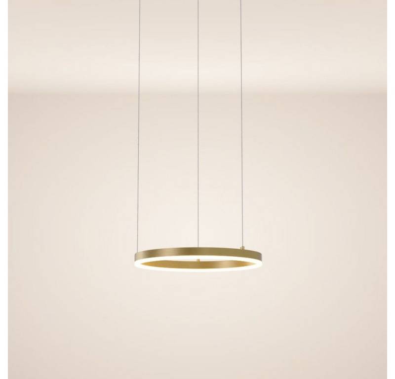 s.luce Pendelleuchte LED Hängeleuchte Ring mit Direkter Abstrahlung Gold, Warmweiß von s.luce