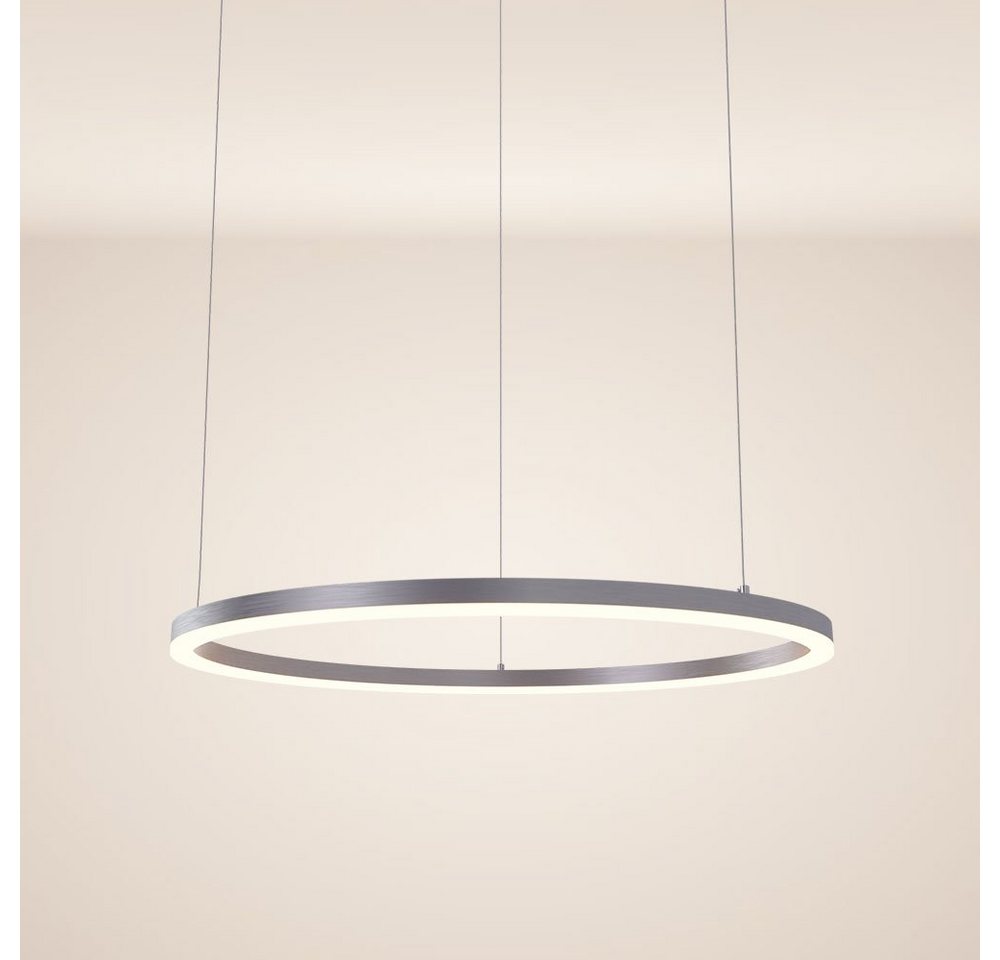 s.luce Pendelleuchte LED Pendellampe Ring 80 5m Aufhängung Alu-Gebürstet, Warmweiß von s.luce