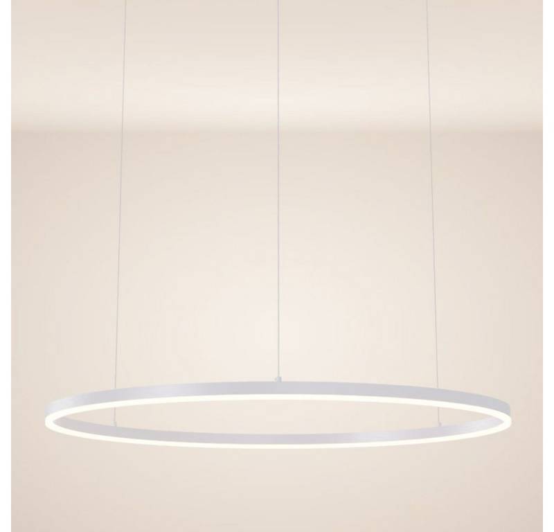 s.luce Pendelleuchte LED Pendelleuchte Ring 100 direkt oder indirekt 5m Abhängung Weiß, Warmweiß von s.luce
