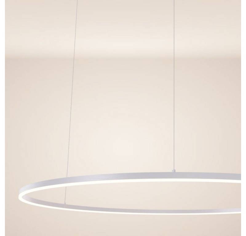 s.luce Pendelleuchte LED Pendelleuchte Ring 120 direkt oder indirekt 5m Abhängung Weiß, Warmweiß von s.luce
