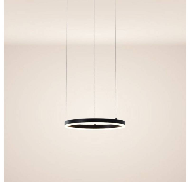 s.luce Pendelleuchte LED Pendelleuchte Ring 40 direkt oder indirekt 5m Abhängung Schwarz, Warmweiß von s.luce