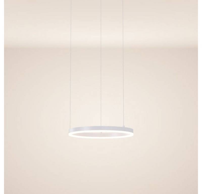 s.luce Pendelleuchte LED Pendelleuchte Ring 40 direkt oder indirekt 5m Abhängung Weiß, Warmweiß von s.luce