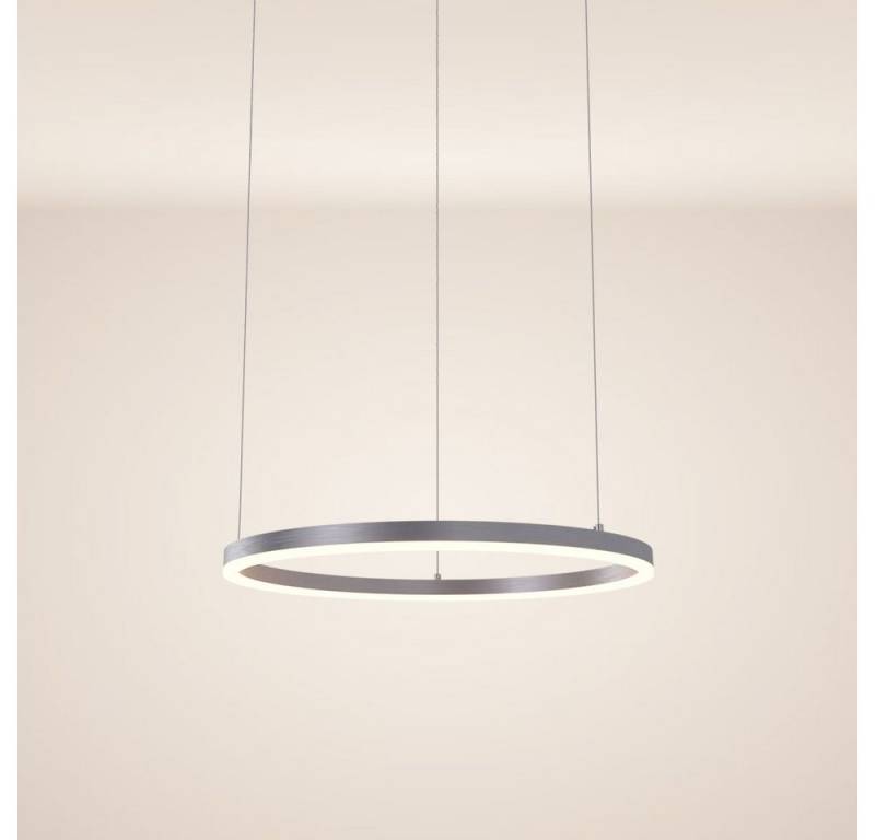 s.luce Pendelleuchte LED Pendelleuchte Ring 60 direkt oder indirekt 5m Abhängung Aluminium, Warmweiß von s.luce