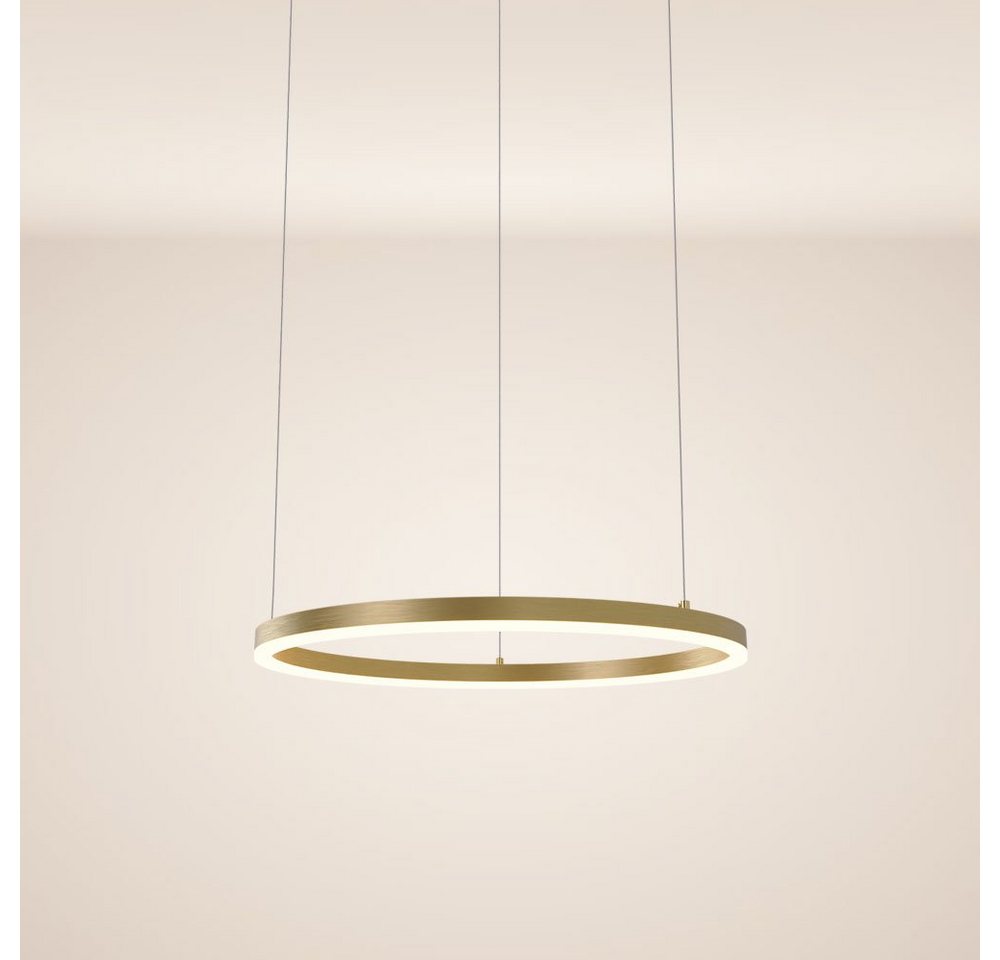 s.luce Pendelleuchte LED Pendelleuchte Ring 60 direkt oder indirekt 5m Abhängung Gold, Warmweiß von s.luce