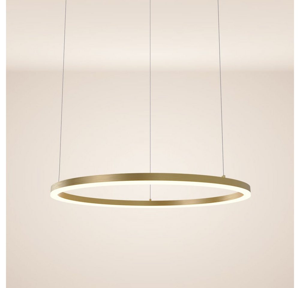s.luce Pendelleuchte LED Pendelleuchte Ring 80 direkt oder indirekt 5m Abhängung Gold, Warmweiß von s.luce